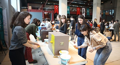 Eski oy sandıkları kedilere yuva oldu