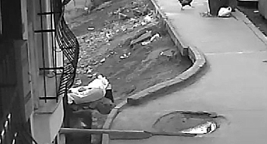 Horozun saldırdığı kadın defalarca yere düştü, ayağa kalkınca o da horoza saldırdı