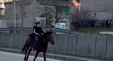 Trafiğe atla çıkan genç anayolda dört nala koştu