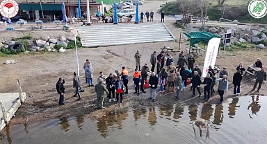 Yaban ördekleri suyla buluştu