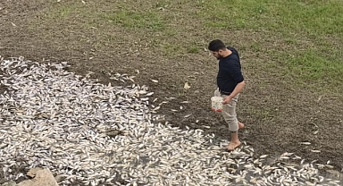 Bursa’da çevre felaketi...