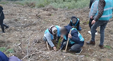 Denetimli serbestlik yükümlüleri fidan dikti