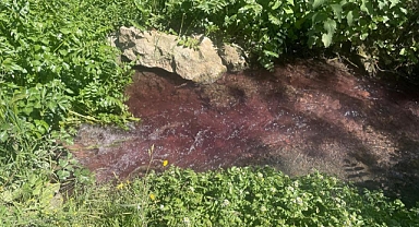 Turşu sulu renkli dereye çiftçiler de uzmanlar da tepkili