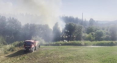 Bursa'daki orman yangınına havadan ve karadan müdahale devam ediyor