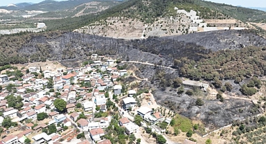 Zümrüt yeşili orman manzaraları kömürlüğe döndü