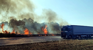 Antik dönemine ait 1700 yıllık tarihi eser ele geçirildi