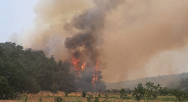 Bilecik'teki 7 köy orman yangınının etkisi altında