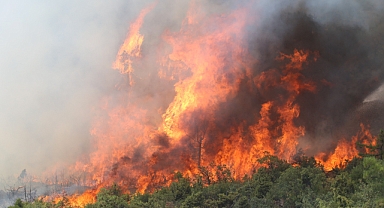 Bursa'da alevler yeniden yükseldi