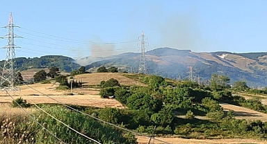 Bursa'da orman yangını