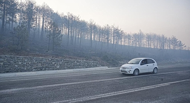 Bursa'daki orman yangını 3. gününde... Gökyüzünü kaplayan duman bulutundan göz gözü görmüyor