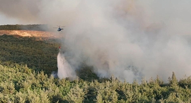 Bursa'daki orman yangınını söndürme çalışmaları devam ediyor