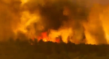 Bursa-Harmancık'taki yangın rüzgarın etkisiyle büyüdü