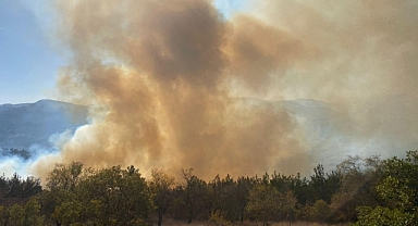 Bursa itfaiyesi her an görevde: İki ayda 5 bin 121 olaya müdahale
