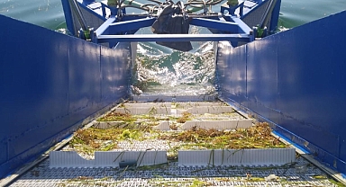 Büyükşehir’den deniz temizliği