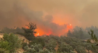 Cepheye gider gibi alevlerin üzerine böyle gittiler