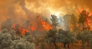 Eskişehir-Seyitgazi orman yangınında 10 kişi şehit oldu