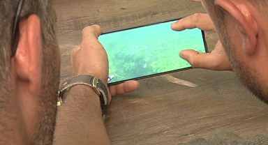 Marmara Denizi’nde bir ilk: Caretta caretta su altında görüntülendi