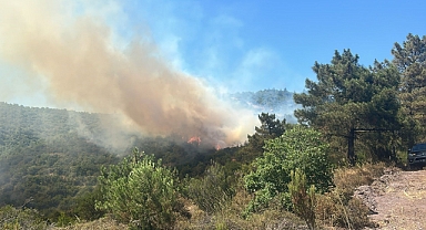  Orman yangınına sebep olan 9 kişi gözaltına alındı, bir kişi tutuklandı