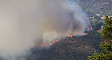 Sakarya'daki orman yangınında 2 kişi göz altına alındı 