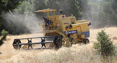 Siyez buğdayındaki hasat çiftçinin yüzünü güldürdü