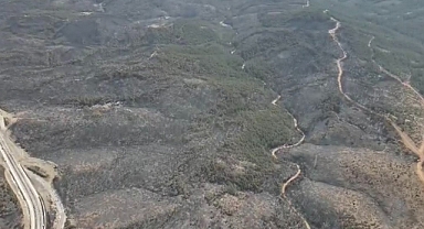 Yangından geriye yürek burkan görüntüler kaldı