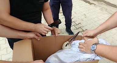 Ayağı kırılan leyleği İtfaiye ekipleri kurtardı