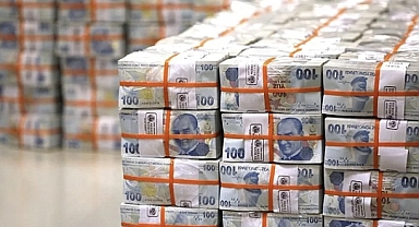 Bankalarda unutulan yaklaşık 732,1 milyon lira TMSF'ye aktarıldı