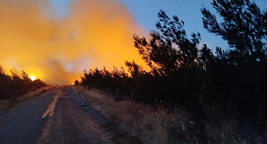 Bayramiç'teki yangını söndürme çalışmaları aralıksız sürüyor