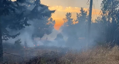 Bursa'da Korkutan Orman Yangını