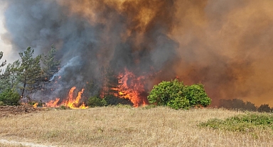 Bursa'da orman yangını kontrol altına alındı