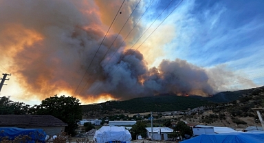 Bursa'daki Orman Yangını Kontrol Altına Alındı