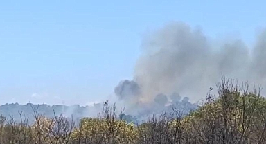 Bursa Nilüfer’deki orman yangını kontrol altına alındı
