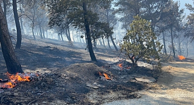 Çanakkale'de ormanlık alana sıçrayan yangında villalar yandı