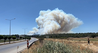 Çanakkale'de tarım arazisinde başlayan yangın ormanlık alana sıçradı