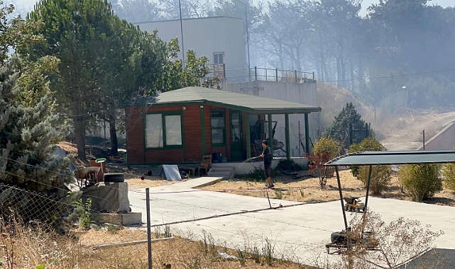 Çanakkale'de yangın işletmelere sıçradı
