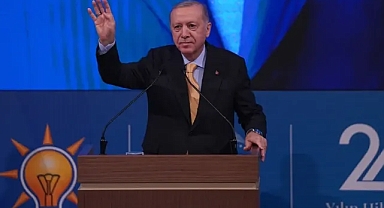 CHP'den istifa eden Özlem Çerçioğlu'na Erdoğan'dan Destek