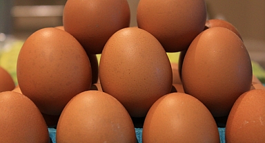 Okulların açılması yumurtayı 