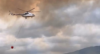 Yenişehir Belediye Başkanı Özel, yangından etkilenen kaplumbağaya suyla müdahale etti