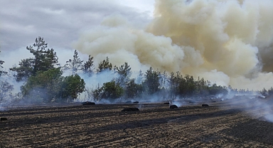 Yenişehir'de orman yangını: Havadan ve karadan müdahale ediliyor