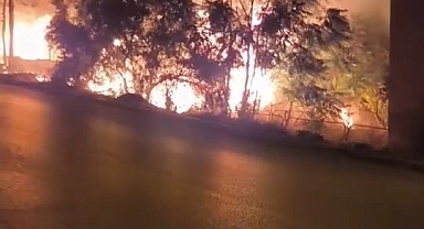 Bursa'da Alev Alan Ağaçlar Villaları Tehdit Etti