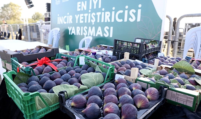 Bursa'da incir festivali heyecanı yaşanacak