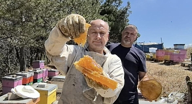 Bursa'da Üretilen Bu Bal Her Derde Deva