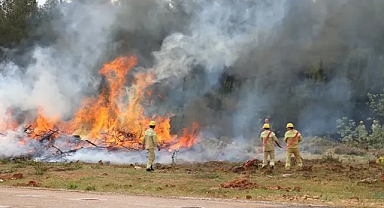 Orman Yangınlarıyla Mücadelede Hayatını Kaybeden Gönüllüler Şehit Sayılacak