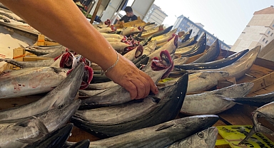 Su Ürünleri Derneği: En güvenilir protein kaynağı sularda