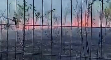 Ziraat Meslek Lisesinin Bahçesi Alevlere Teslim Oldu