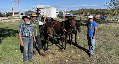 Almanya'dan Kudüs'e Barış Yolculuğu: Atlı Aktivistler Bursa'da Mola Verdi