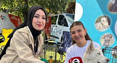 Bursa Büyükşehir Belediyesi Sokak Hayvanlarına Güvenli Yuva Sağlıyor