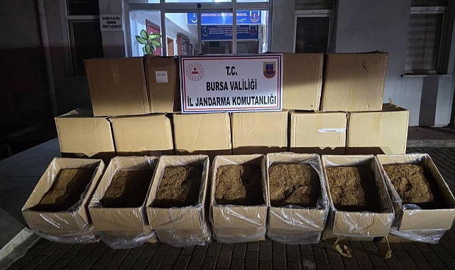 Bursa'da 750 Kilogram Kaçak Tütün Ele Geçirildi