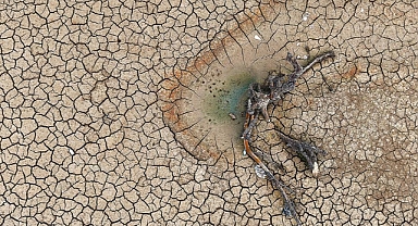 Bursa'da Gölbaşı Göleti Kurudu: Tarım Alanlarında Büyük Kriz