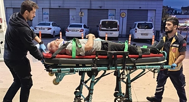 Bursa İnegöl'de Ceviz Ağacından Düşen Adam Ağır Yaralandı